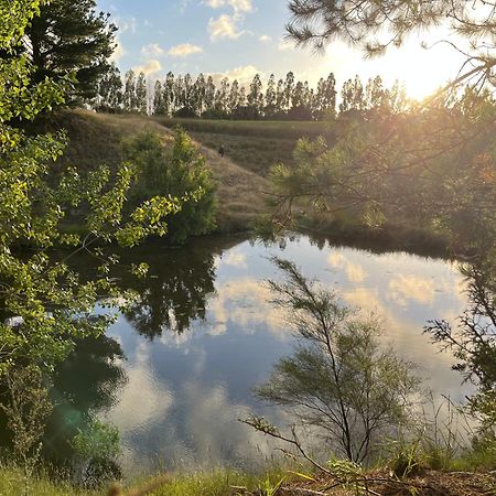 A Cabin With A Big View, Comfort And Tranquility, Close To Vines Martinborough Buitenkant foto