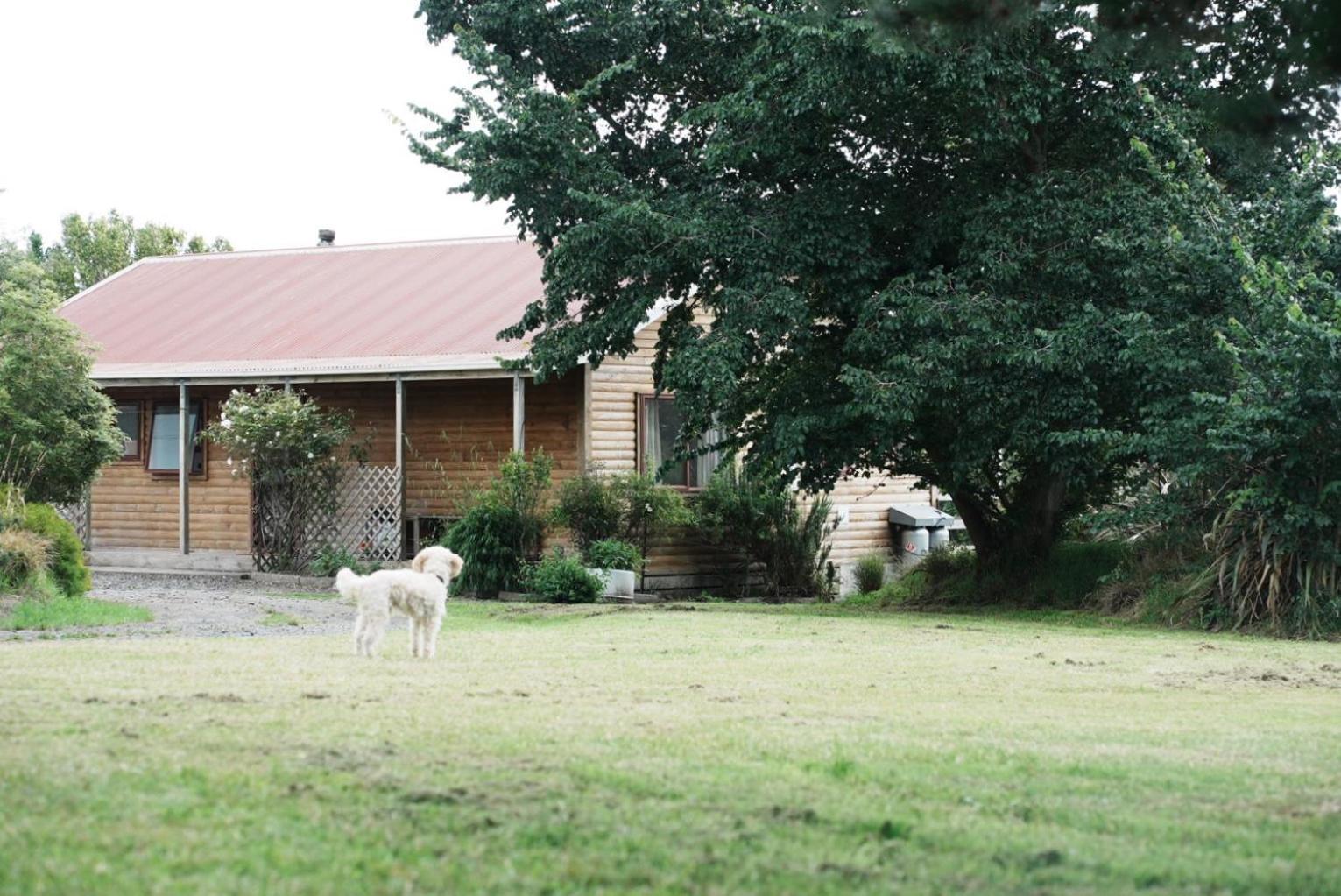 A Cabin With A Big View, Comfort And Tranquility, Close To Vines Martinborough Buitenkant foto