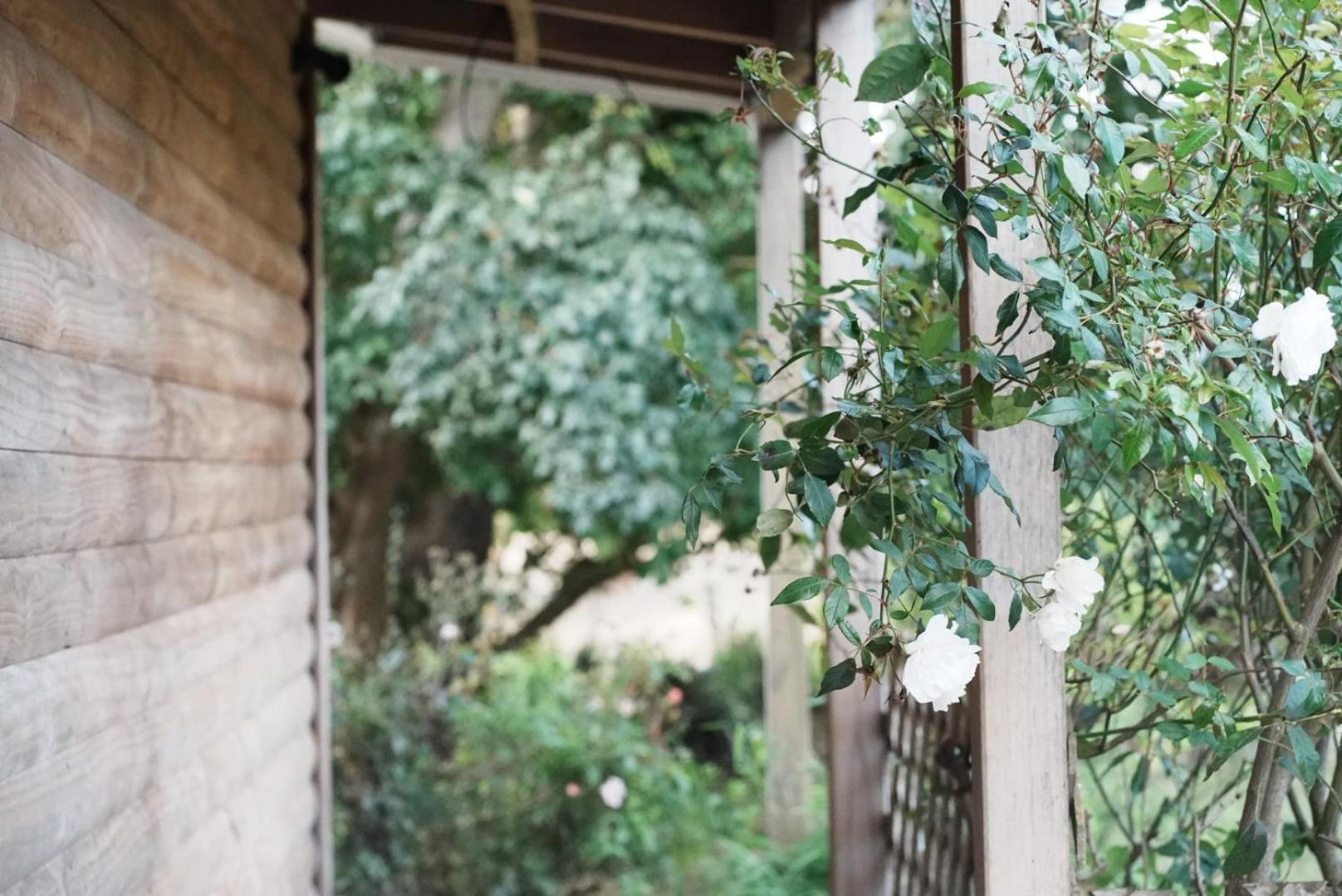 A Cabin With A Big View, Comfort And Tranquility, Close To Vines Martinborough Buitenkant foto