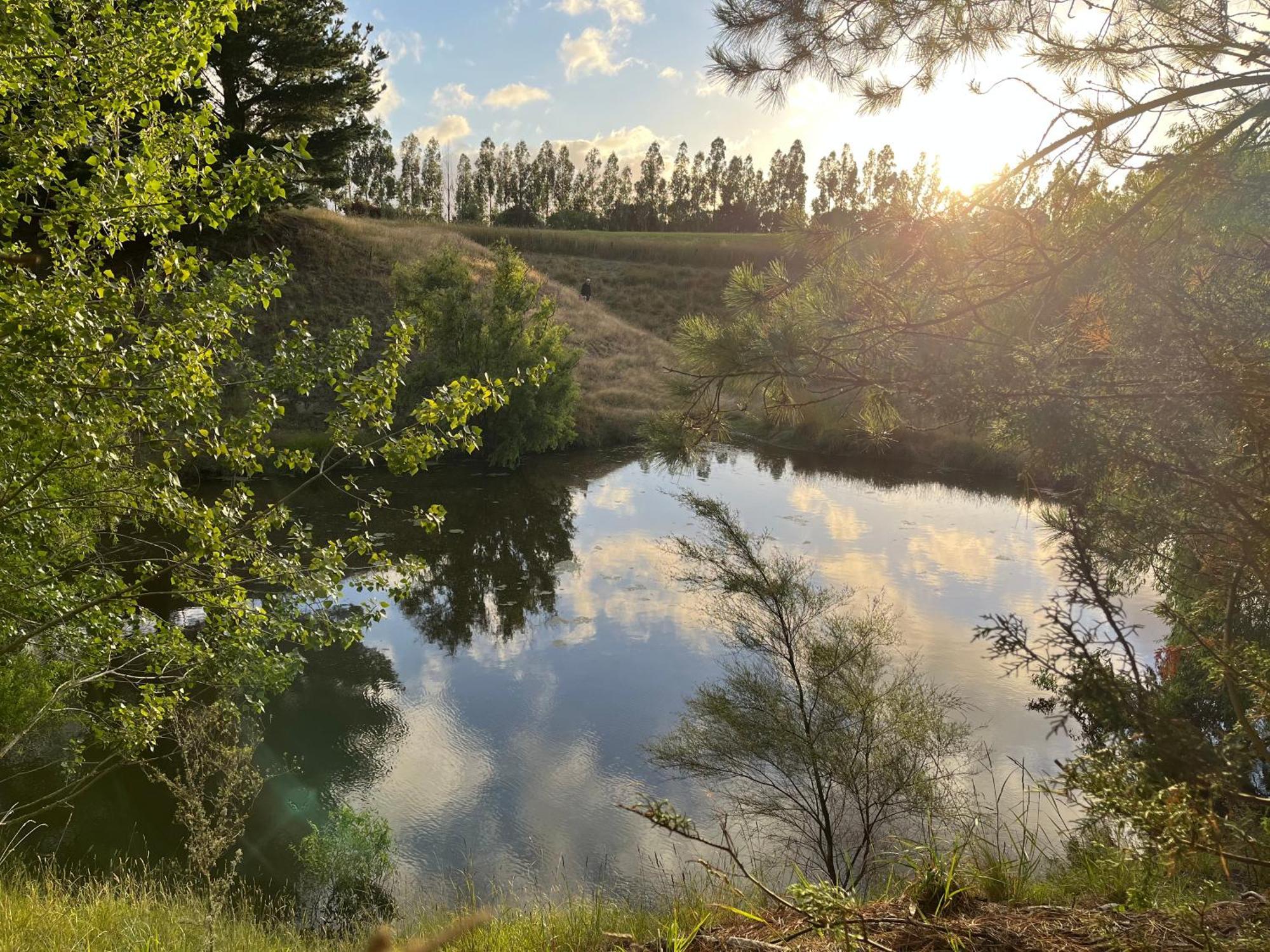 A Cabin With A Big View, Comfort And Tranquility, Close To Vines Martinborough Buitenkant foto