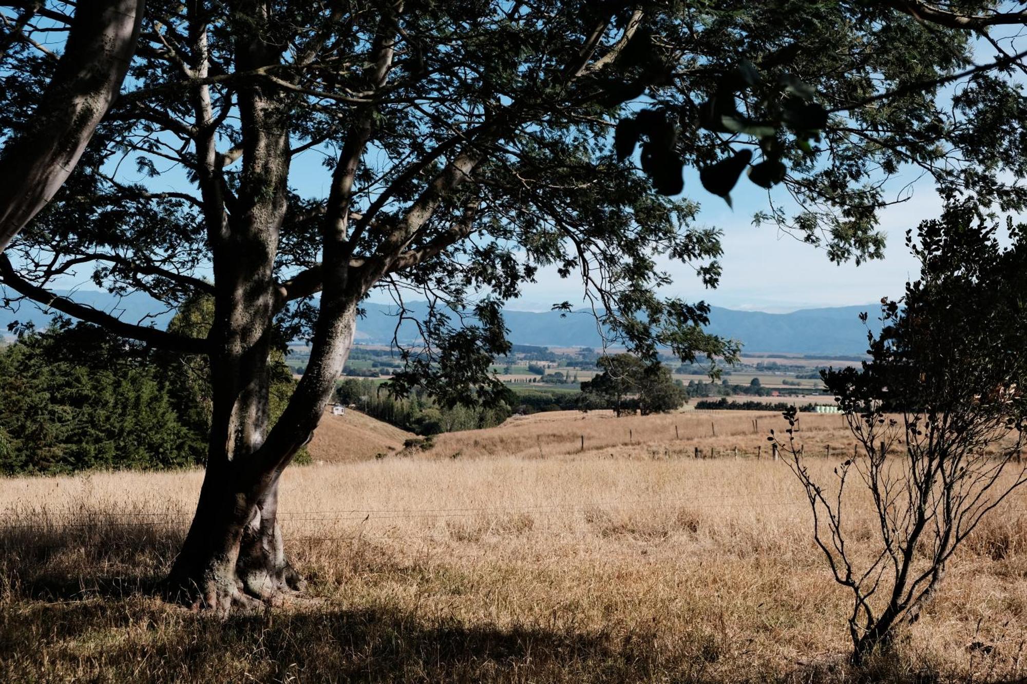 A Cabin With A Big View, Comfort And Tranquility, Close To Vines Martinborough Buitenkant foto