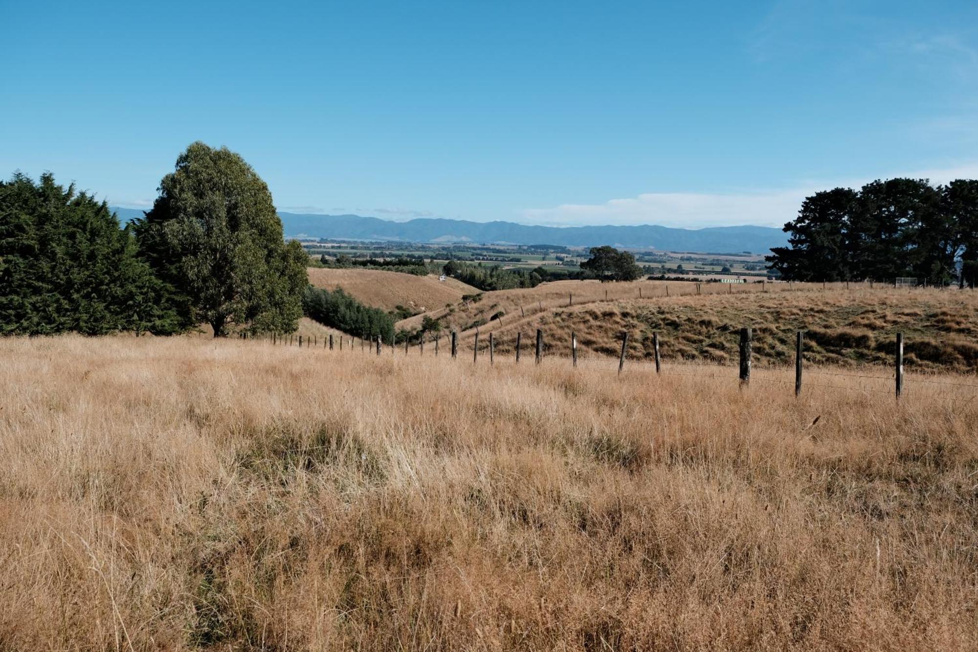 A Cabin With A Big View, Comfort And Tranquility, Close To Vines Martinborough Buitenkant foto