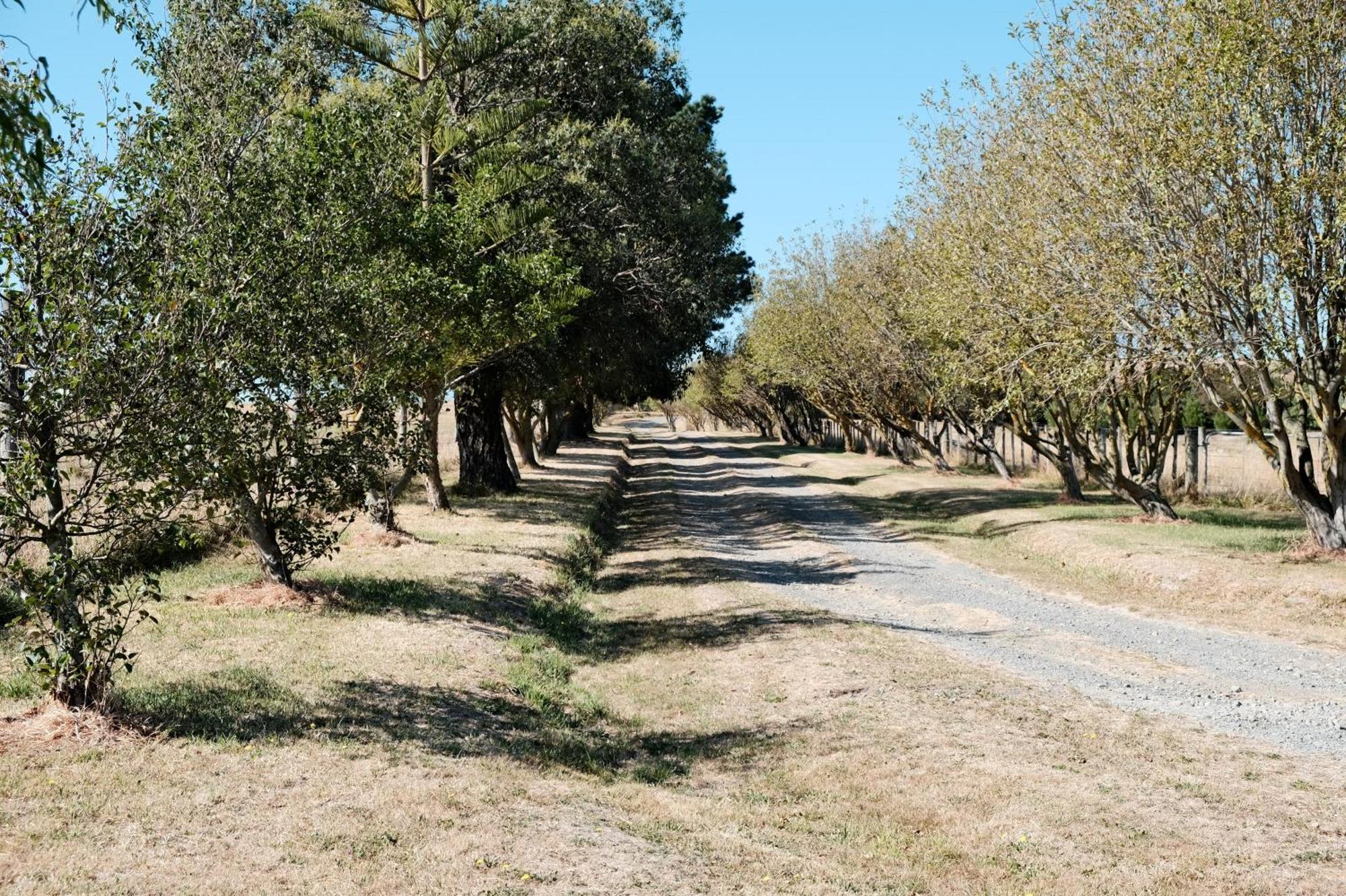 A Cabin With A Big View, Comfort And Tranquility, Close To Vines Martinborough Buitenkant foto
